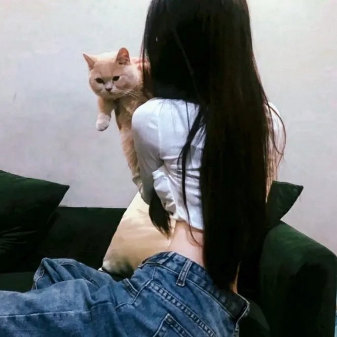 阿尔泽